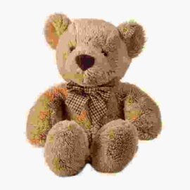 Long Soft Teddy